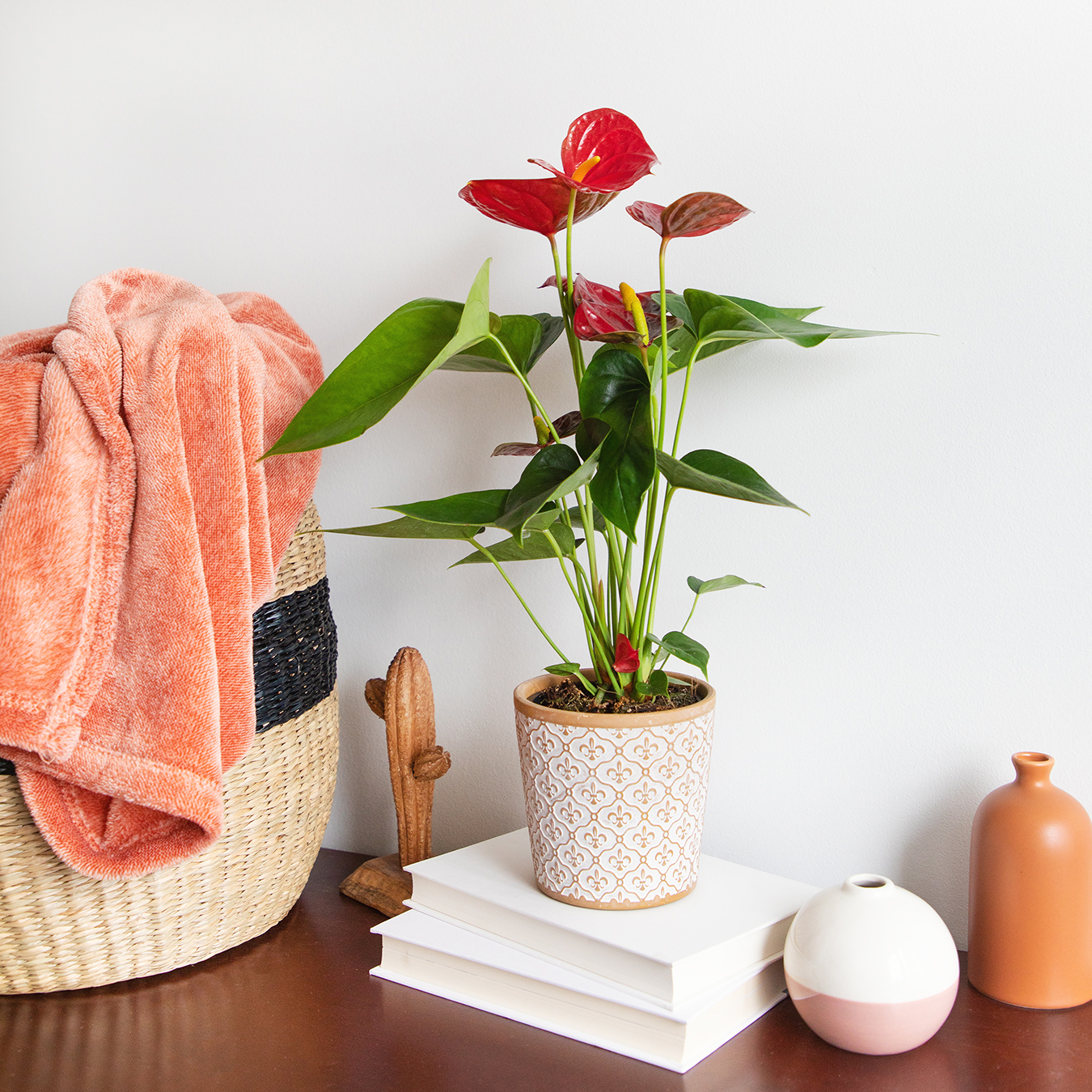 3 Anthurium Winter Care Tips